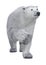 3D Rendering Polar Bear on White