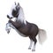 3D Rendering Pony on White