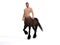 3D Rendering : A portrait of the male centaur, a pinup centaur posing