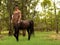 3D Rendering : A portrait of the male centaur, a pinup centaur  posing in the forest