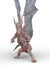 3D rendering of a pterosaur
