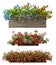 3d rendering of a realistic flower pot collection isolated on white