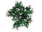 3d rendering of a realistic green top view flower bush isolated