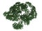 3d rendering of a realistic green tree top view isolated on whit