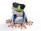 3D rendering of a realistic red-eyed tree frog wearing sunglasses.