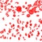 3d rendering of Red blood cells on white