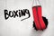 3d rendering of red punching bag breaking white wall with `Boxing` sign on white background