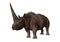 3D Rendering Rhinoceros Elasmotherium on White