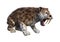 3D Rendering Sabertooth Tiger on White