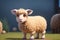 A 3D rendering of a sheep standing on top of a lush green field