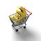 3D rendering shopping cart with golden euro sign