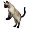 3D Rendering Siamese Cat on White