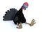 3D rendering of a silly tired toon turkey