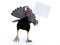 3D rendering of a silly toon turkey looking at blank sign.