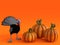 3D rendering of a silly toon turkey with pumpkins