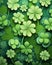 3D rendering of spring clover lucky charm in sharp focus in the foreground