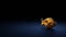 3d rendering symbol of fish wrapped in gold foil on dark blue background