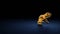 3d rendering symbol of otter wrapped in gold foil on dark blue background