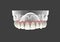 3D rendering teeth