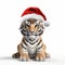3d Rendering Of Tiger With Red Nose And Santa Hat On White Background