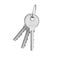 3d rendering of two isolated silver keys on a key ring