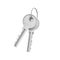 3d rendering of two isolated silver keys on a key ring