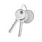 3d rendering of two isolated silver keys on a key ring with a blank round medal behind.