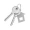 3d rendering of two isolated silver keys on a key ring with label