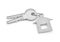 3d rendering of two isolated silver keys on a key ring with label