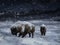 3D rendering of two majestic bison in a winter landscape