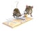 3D rendering of two mice examining trap