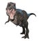 3D Rendering Tyrannosaurus Rex on White