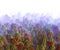 3d rendering of view of smoky hill in autumn. Forest landscape