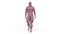 3D rendering of a walking male body model