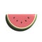 3D rendering water melon fruit