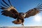 3D rendering of a white-tailed eagle in the desert