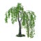 3D Rendering Willow Tree on White