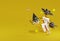 3d rendering witch, spider ,bat happy arround white giftbox explored on yellow background