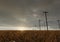 3D rendering of withered corn field next to utility poles
