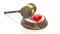 3D rendering of wooden gavel and red heart symbol