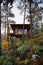 3D Rendering wooden house treehouse in woods morning