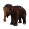 3D Rendering Woolly Mammoth Baby on White