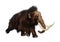 3D Rendering Woolly Mammoth on White