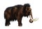 3D Rendering Woolly Mammoth on White