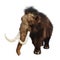 3D Rendering Woolly Mammoth on White