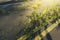 3d rendering of yellow dandelions growing up on damage highway