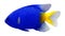 3D Rendering Yellowtail Fish on White