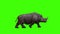 3D Rhino fast enters the left side and out on the right side in animation on the chroma key