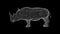 3D Rhinoceros on black background. Safari concept. Wildlife animals. Business advertising backdrop. For title, text