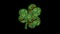 3D Rotating Model Floral Emerald Green Metal Three Leafed Clover Symbol St Patrick`s Day And Particles with Glitter Dust Flying